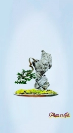 Mọi thứ đều của khách e chỉ làm demo bonsai