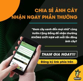 Không bán hàng online cũng có thể kiếm tiền trên Facebook