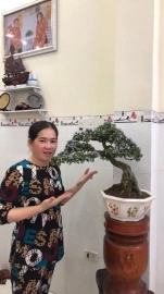 Linh Sam hạt gạo Tân phú