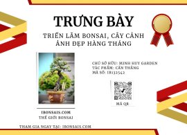 Tác phẩm cần thăng