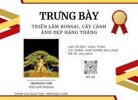 Sam hương đài loan