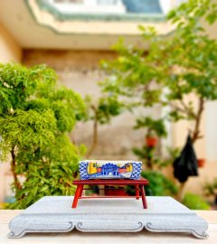 Hand sketch bonsai pot