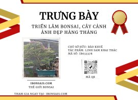 Linh sam khai thác đời đầu rin toàn tập!