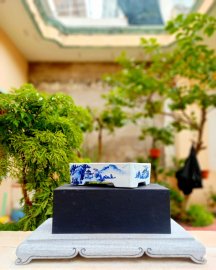 Hand sketch bonsai pot