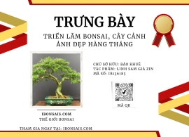 Vietnamese blue bell bonsai artwork