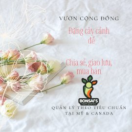 Đăng Bonsai, hoa, cây cảnh để chia sẻ, giao lưu, mua bán 