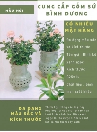 Gốm sứ Bình Dương