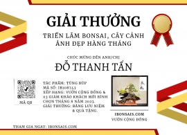 Tác phẩm tùng búp