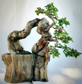 Hoa giấy bonsai rất già tay cành mịn đường thân đẹp