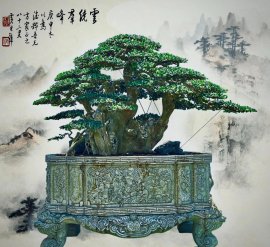 Streblus asper Lour bonsai tree