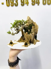 Premna mini scene