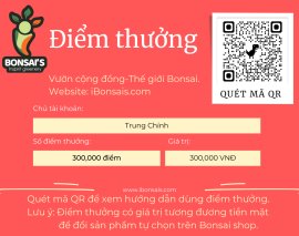 Tác phẩm hải châu