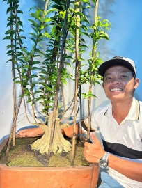 Vietnamese water jasmine in training