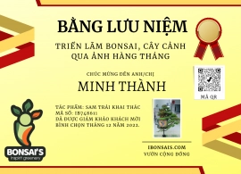 Tác phẩm sam trái khai thác