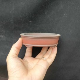 Chậu oval cánh dán, zise nhỏ OV016