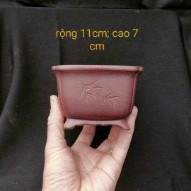 Chậu cát tím vuông điêu khắc thủ công V041