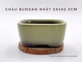 Chậu chữ nhật Bunzan Nhật Bản tráng men