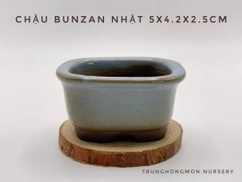 Chậu tròn Bunzan Nhật Bản tráng men