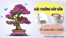 Giải thưởng hấp dẫn từ 350k đến 3 triệu đồng