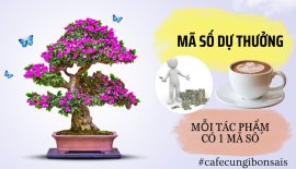 Mã số dự thưởng của bạn