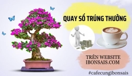 Quay số trúng thưởng