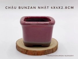 Chậu Vuông Bunzan Nhật Bản