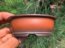 Hokido chậu Oval sâu có thành miệng mini