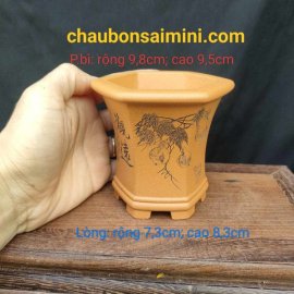 Chậu lục giác thủ công; quặng thô nguyên bản LG009