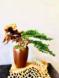 Một TP siêu nét để bàn làm việc