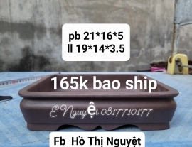 165k/ chiếc bao ship ạ