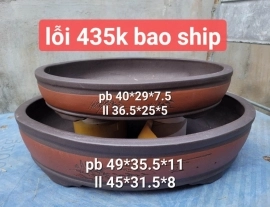 435k bao ship ạ