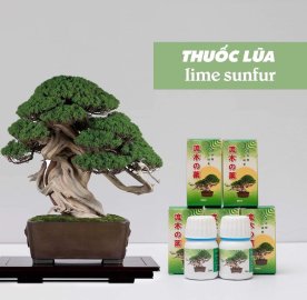 Thuốc lũa nhật bản