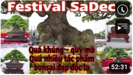 Festival Hoa Sa Đéc - lễ hội hoa