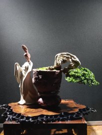 Premna bonsai tree artwork