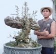 Hoàng Trang Bonsai