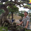 Khương Bonsai